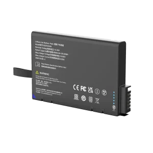 GS2024HH Battery
