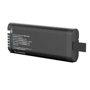 GS2047FH Battery
